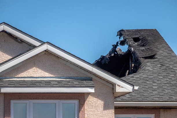 Top rated local Fire Damage Repair specialists in Arlington, VA